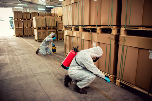 Best Termite Control Services  in Marmet, WV