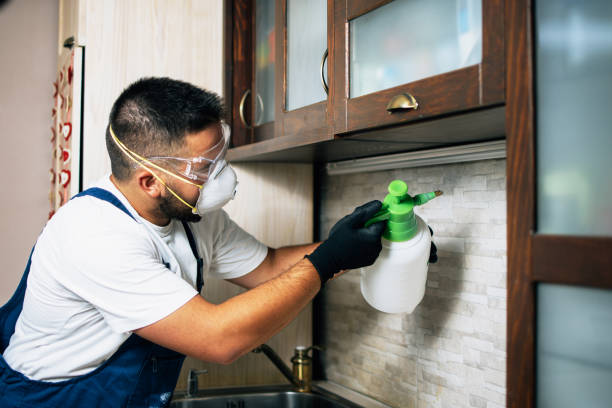 Best Emergency Pest Control  in Marmet, WV