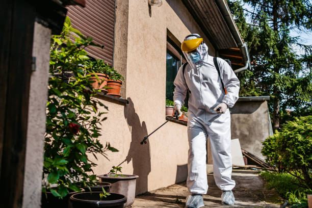 Best Rat Extermination Near Me  in Marmet, WV