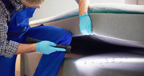 Best Pest Control for Businesses  in Marmet, WV