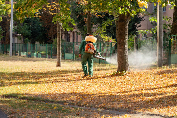 Best Insect Control  in Marmet, WV