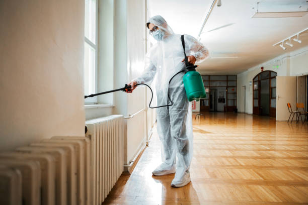 Best Bed Bug Extermination  in Marmet, WV