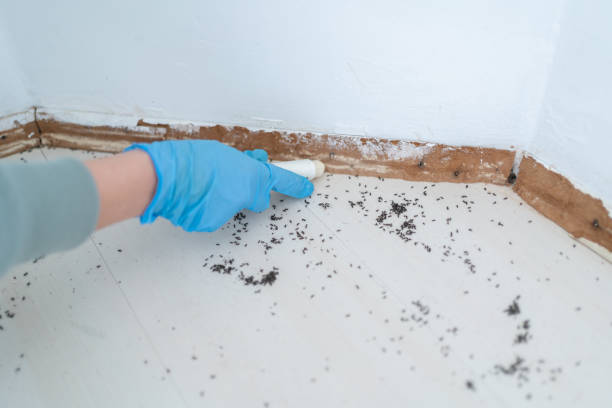 Pest Control for Restaurants in Marmet, WV